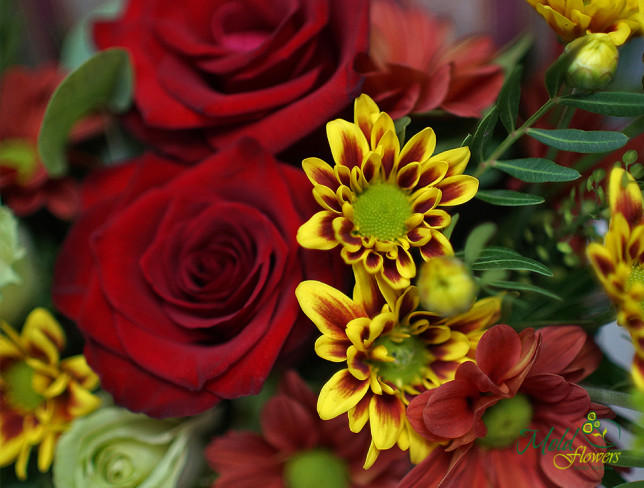 Plic cu crizanteme multicolore, trandafiri și hipericum foto